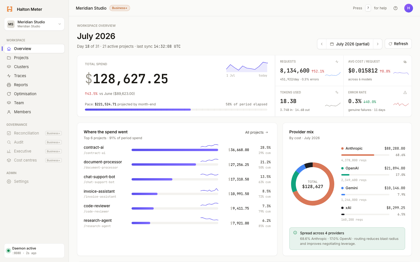 Halton Meter Cloud dashboard demo: workspace overview with monthly spend, project Pareto, and provider mix